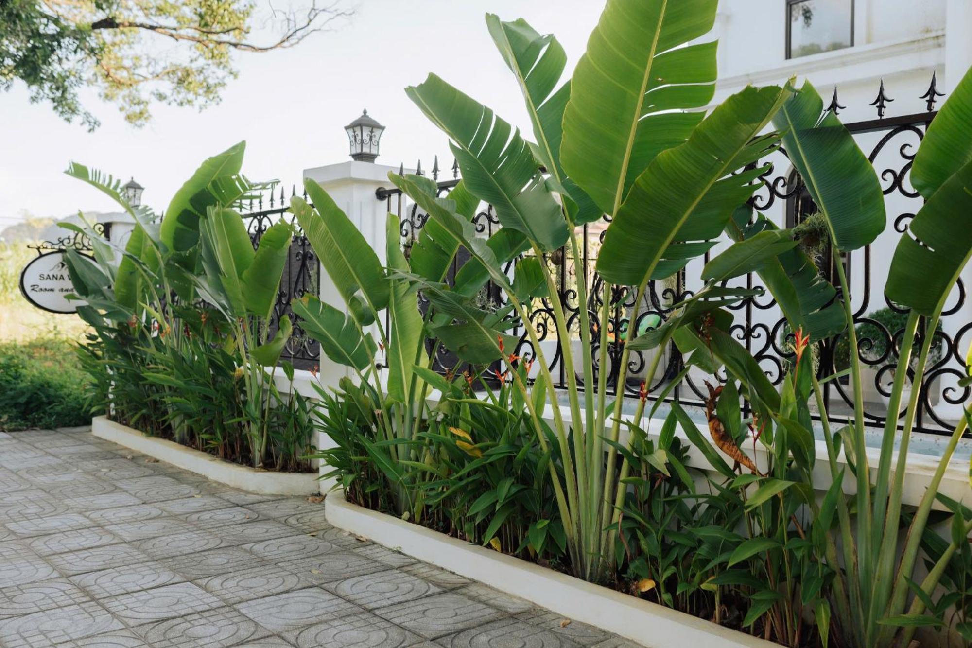 Tam Coc Sana Villa & Homestays Ninh Bình Kültér fotó